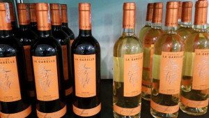 vinhos