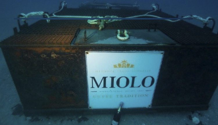 Miolo