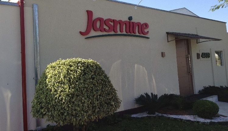 Jasmine