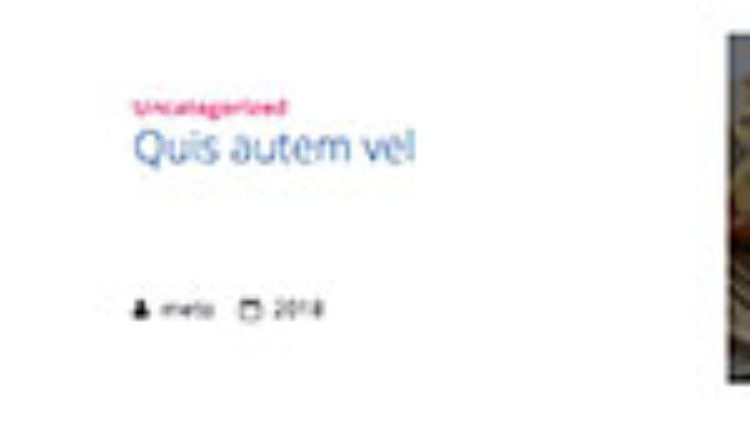 megamenu4