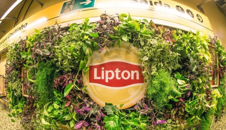 Lipton